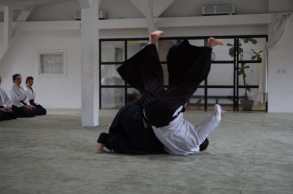 Aikido Kampfkunst Bewegungskunst